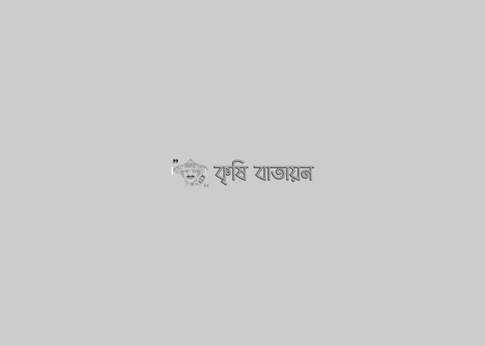 চর হররামপুর কলাআ বাদ কর স্বাবলম্বীকৃষক আ জাদ খাঁ